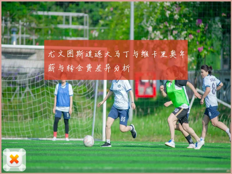 尤文图斯追逐大马丁与维卡里奥年薪与转会费差异分析