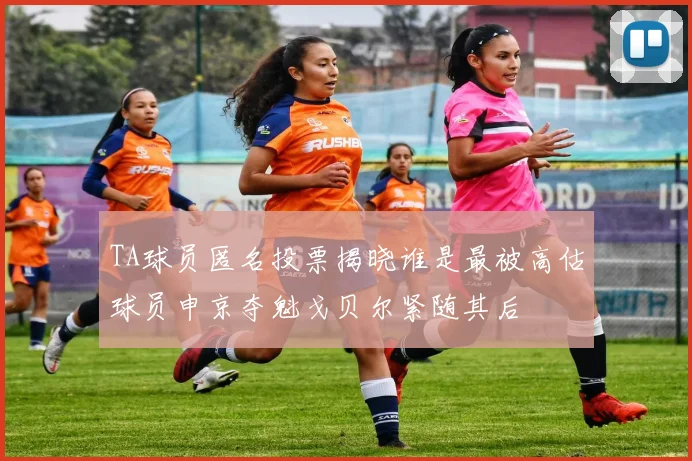 TA球员匿名投票揭晓谁是最被高估球员申京夺魁戈贝尔紧随其后