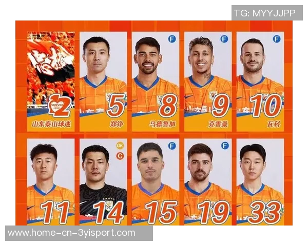 中超第28轮最佳候选名单揭晓瓦科萨里奇恩里克戴维森亚戈争夺荣誉 中超第28轮最佳候选名单揭晓瓦科萨里奇恩里克戴维森亚戈争夺荣誉